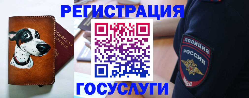 временная регистрация в квартире в Канске